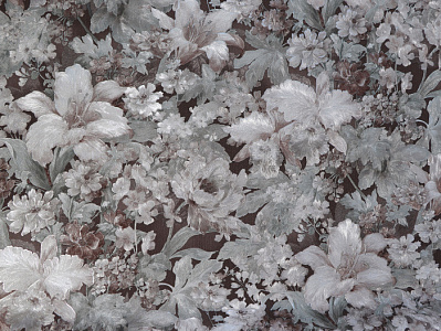 Обои Melody Серия Элоди Е32304